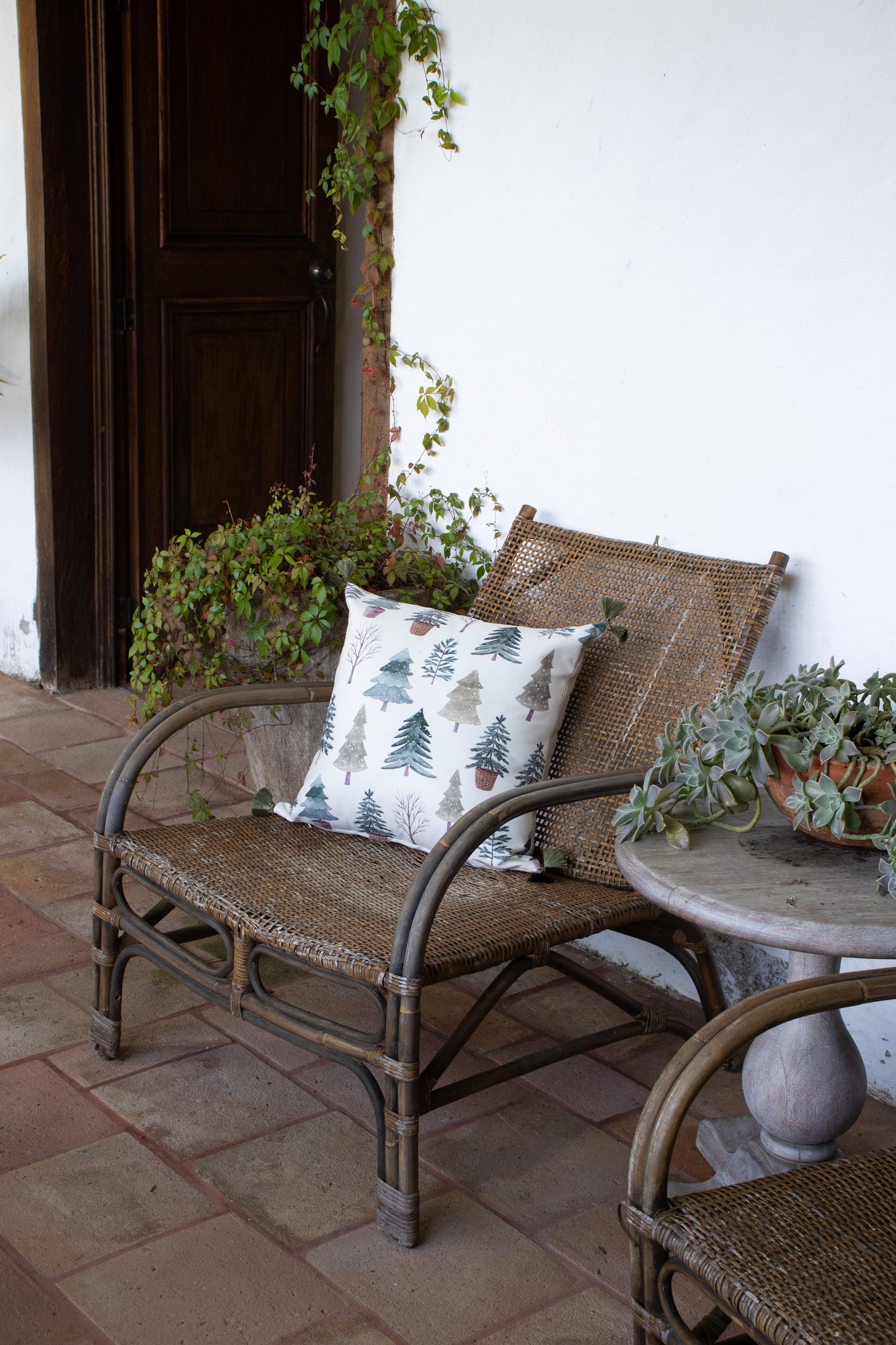 Christmas Pillow cover