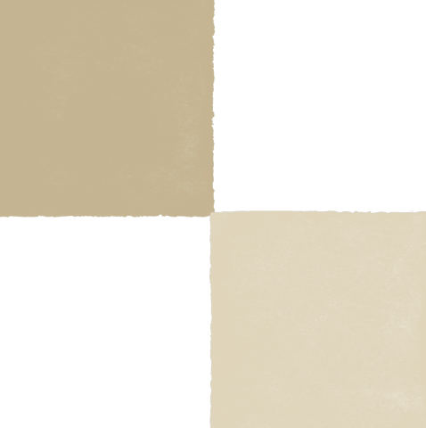 Duo Beige Napkins